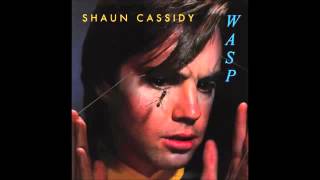 Watch Shaun Cassidy Wasp video