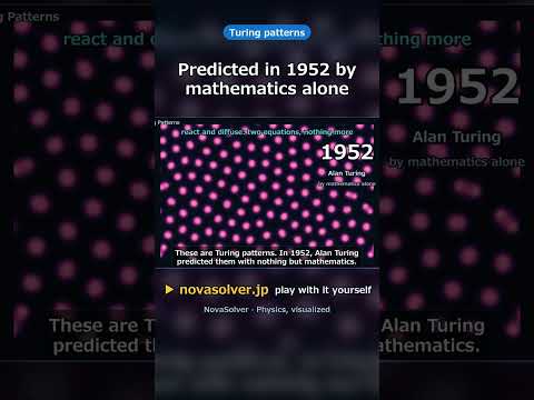 Predicted in 1952 by mathematics alone | Turing patterns #Shorts