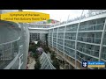 Central Park Balcony Room Tour - Symphony of the Seas