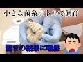 幼虫サイズ…まさかの差に唖然…！ 菌糸瓶 菌糸 ボトル 交換！アンタエウス オオクワガタ