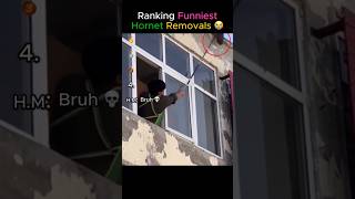 Ranking Funniest Hornet Removals 😭