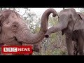 New video by BBC News on YouTube