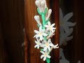 Rajnigandha Flower Tutorial#Flower|| https://youtu.be/4-q32Q320ok?si=mULjUAQ2ZvXNdcXy