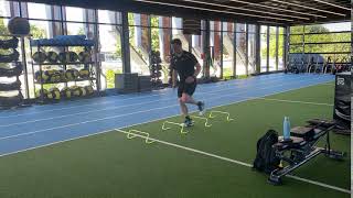 Vertical Plyometrics- Double Contact Hurdle Hops