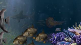 Fish Know Fish Logo With Audio Test 4