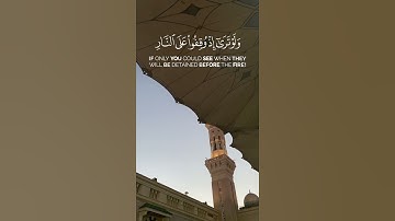 وهم ينهون عنه وينأون عنه|عمر بن عبد العزيز سورة الأنعام #قران #quran #اكسبلور