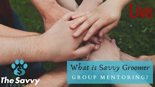 What Is Savvy Groomer Group Mentoring?