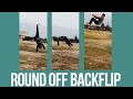 Round off backflip like a pro 🔥. #backflip #flips #roundoffbackflip #roundoff #gymnastics