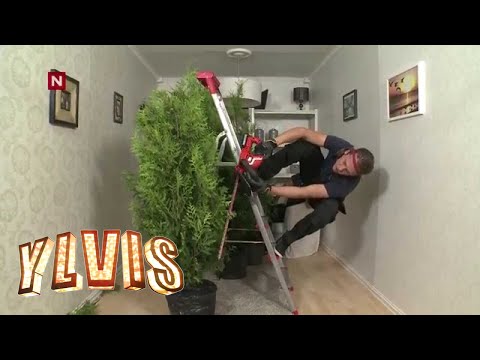 Video: Kan du klippe skodder?