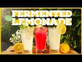 Limonade fermente facile  avec probiotiques