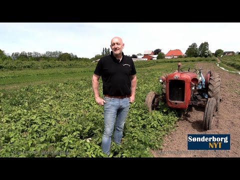 Video: Kartoffel- Og ærteretter - En Trinvis Opskrift Med Et Foto
