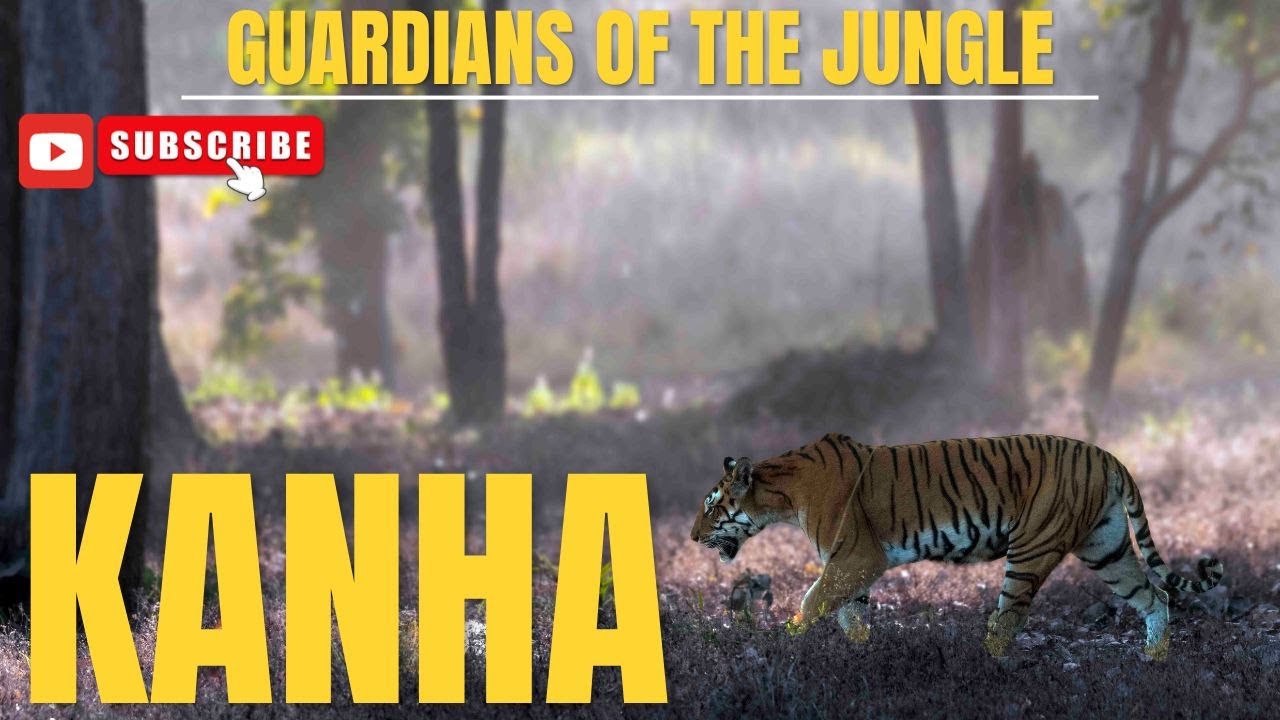Guardians of the jungle (Part-1) - YouTube