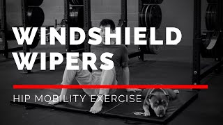 Windshield Wipers Exercise (IMPROVE YOUR HIP MOBILITY!)