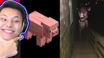 NHỮNG TẤM ẢNH MINECRAFT BỊ NGUYỀN RỦA🙏💀JAYGRAY BẤT ỔN SAU KHI XEM NHỮNG TẤM ẢNH SỢ THÍ