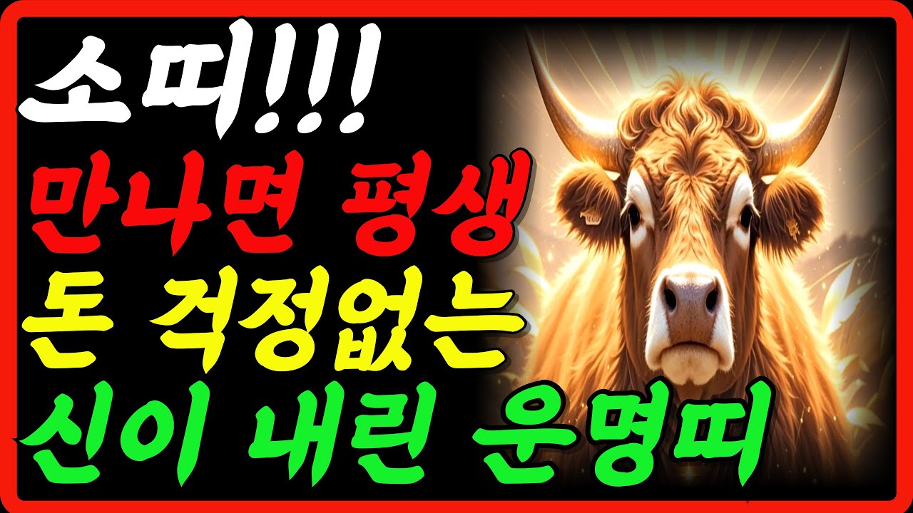 [소띠 운명띠 주목] 2025년 소띠 만나면 평생 돈 걱정없는 신이 내린띠!! 49년생 61년생 73년생 85년생 97년생 ...