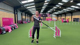 Galican Safe Jump Bars screenshot 4