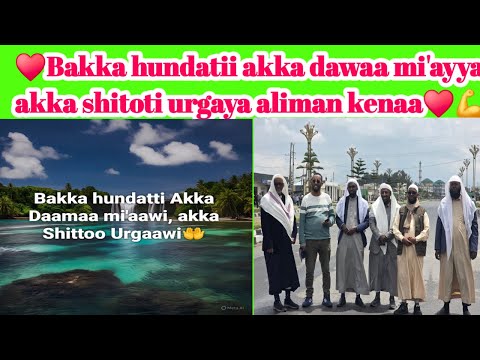 Bakka Hundatii Akka Dawaa Mi Ayya Akka Shitoti Urgaya Aliman Kenaa
