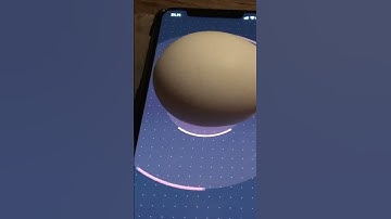 Weighing an Egg on an iPhone with Cool SwiftUI Animation 🤯🤯