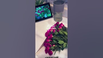 ياسر الدوسري كرومات سورة الحشر #القرآن_الكريم