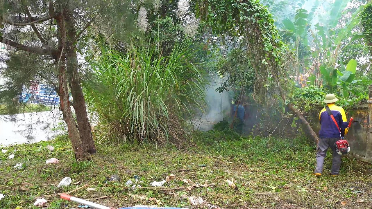 Epic Cleanup: 200 Meters of Trash-Covered Sidewalk Cleared in Record Time!
