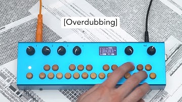 Critter & Guitari - Overdubbing Sequencer for Organelle (Beta Release)