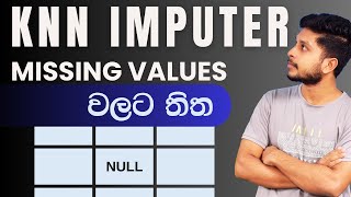 KNN Imputer හරහා Missing Values වලට තිත