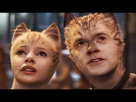 Quickie: Cats