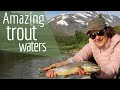 Fishing sweden  flyfishing trout and arctic char  the perfect fishing trip