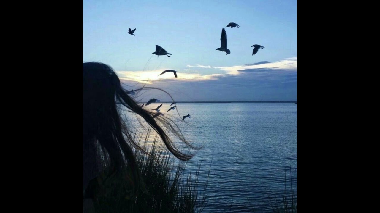 [FREE] pittkiid type beat - “midnight"