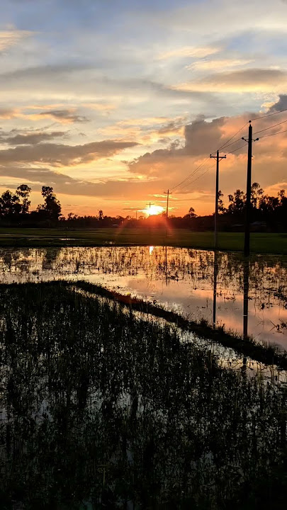 💖🥰hello 1😍🥰#bollywood #song #music #hindisong #bollywoodsongs