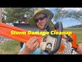 Removing a Dangerous Hanging Tree Limb: Let’s Do Some Farm Chores!