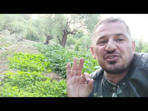 نهارك سعيد مع هيسم سعيد 2