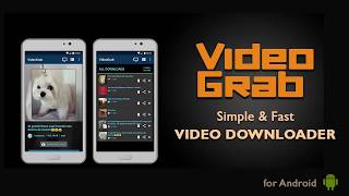 Download an Instagram Video with the VideoGrab App screenshot 2