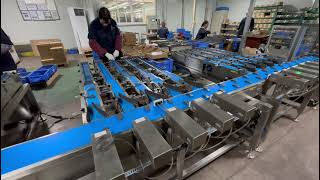Weight sorting machine used for Ferrite Magnetic tile classification case. #checkweigher