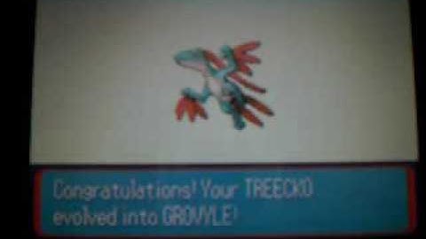 Shiny Treecko Evolution