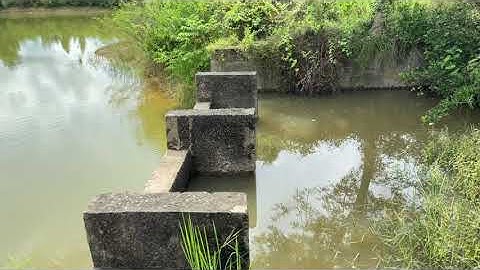 เส้นทางหนองปลาค้าว – หนองแปนวันนี้น้ำเริ่มเอ่อสูง  จนจะท่วมถนนแล้ว
