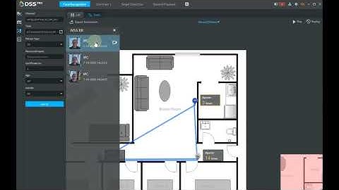 DSS PRO   Face Search  / Face Track