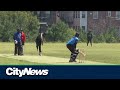 Cricket growing in popularity in quebec