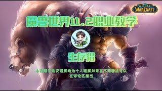魔兽世界11 2职业教学 S3新赛季 生存猎#魔獸世界​ #魔獸世界卡雷什的殘影​  #魔獸世界國服20周年慶​ #魔獸世界攻略