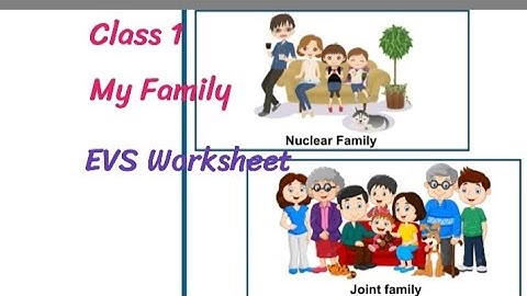 Class 1 My Family E.V.S. Work Sheet/Class 1 EVS Worksheet