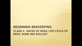 Bumbling Beekeeper Beginning Beekeeping Class 3: Races, Life Cycle of Bees, and Beginning Biology