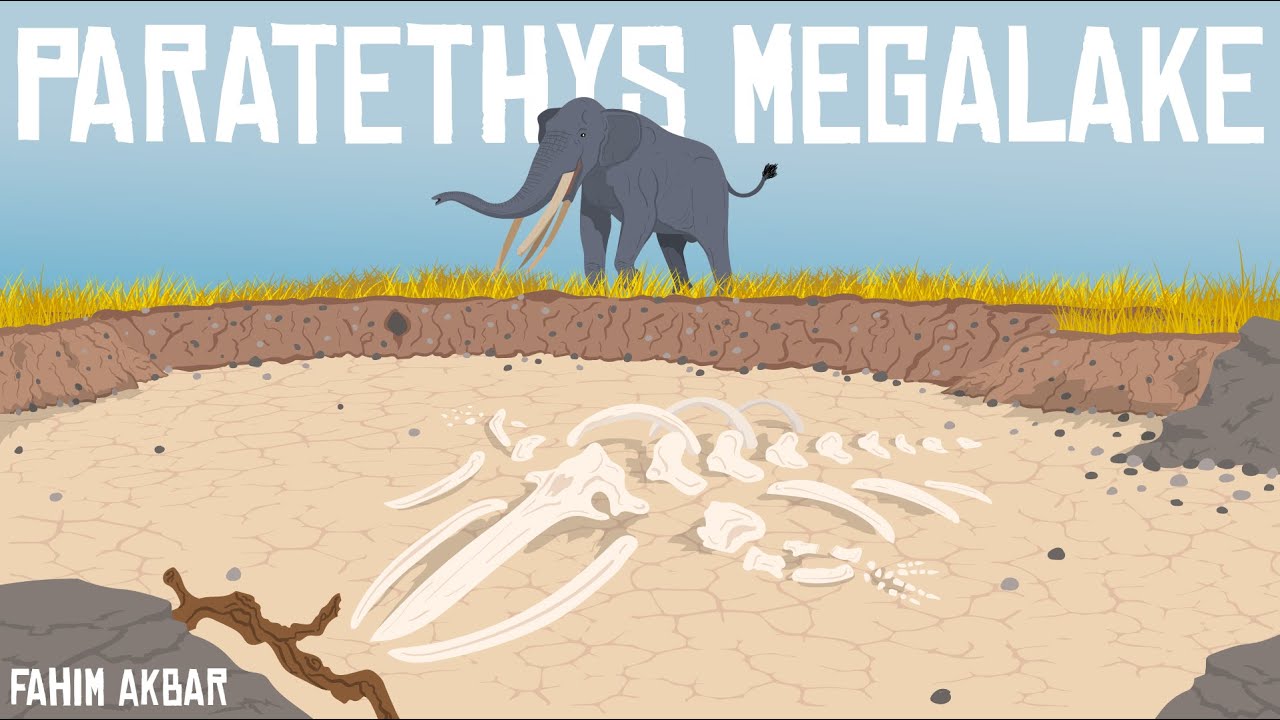 How the World's Largest Lake Killed the World's Smallest Whales | The Paratethys