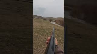 Ördeklere Baskin. Duck Hunti̇ng. Mallard Hunti̇ng. На Уток