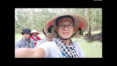 Giới thiệu về rừng tràm Trà Sư An Giang