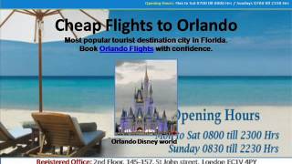 The Flights Guru