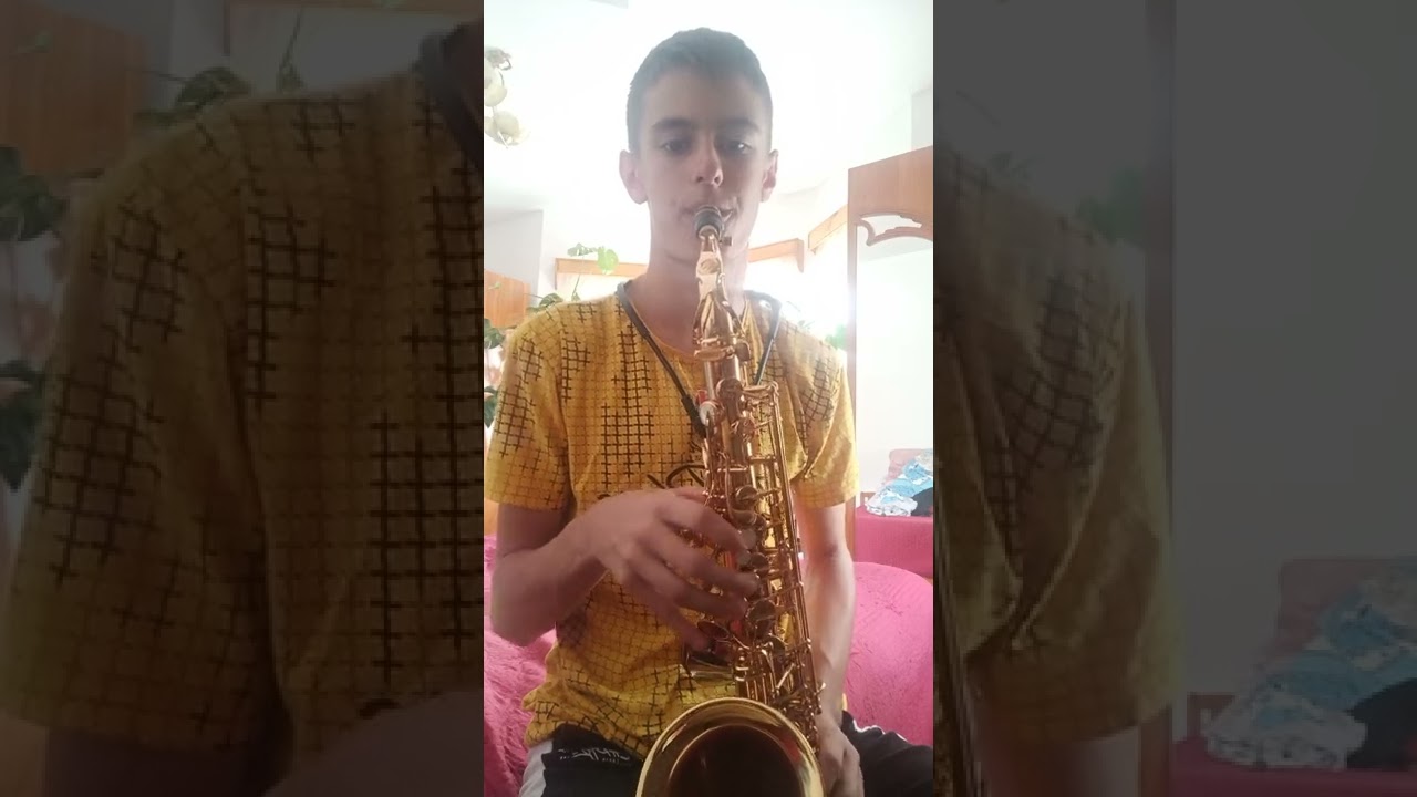 Gugulan cu car cu mere
