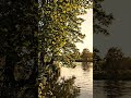 Acalm riverside landscape with lush green treesa gentle breezeand the soundof birdsin the background