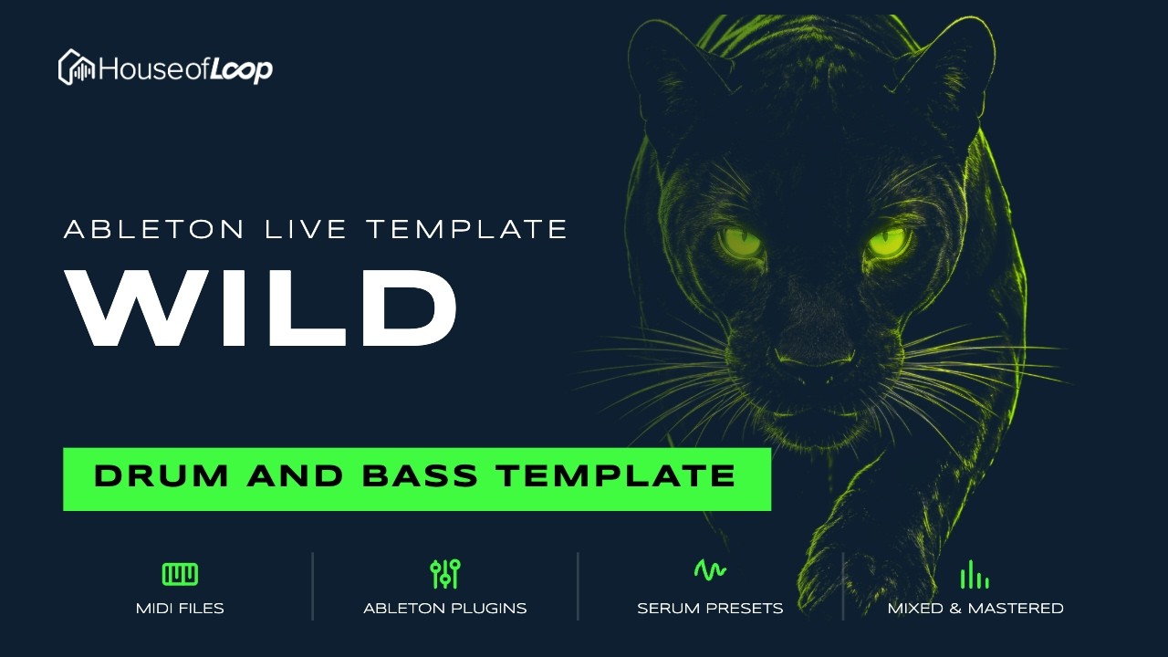 wild-drum-and-bass-template-youtube