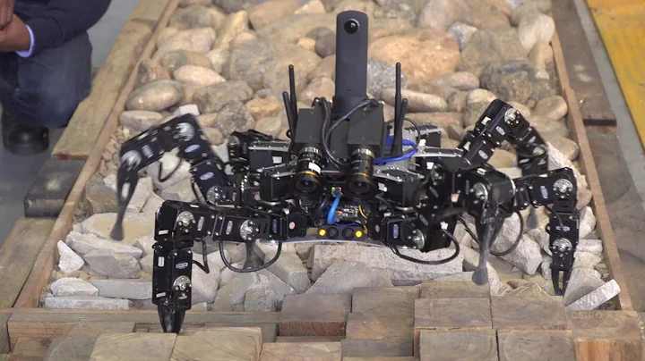 Legged robots walk the walk