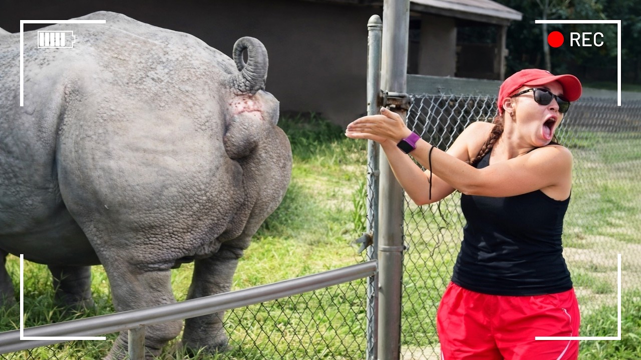 لحظات لم تُسجل من قبل! لن تصدق ما فعلته هذه الحيوانات أمام الكاميرا! لم يسبق رؤيتها!!